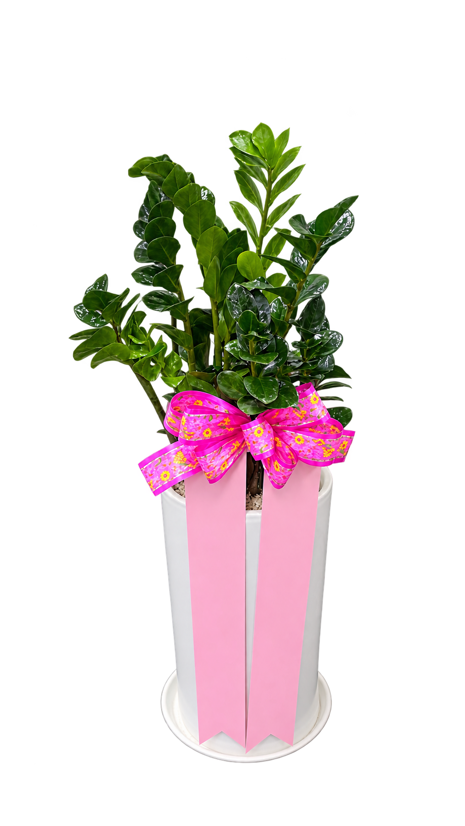 d8a7f4e14363bd83294b9a83ac2f0f4b_1788939374_5222.png